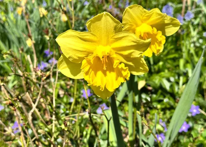 シャレー Havehuset Er En Oase I Skoven - Fa Hele Huset For Jer Selv! *